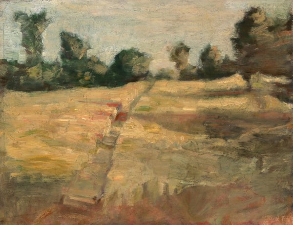 The Field by Alice Pike Barney - Hand-Painted Oil Painting Reproduction