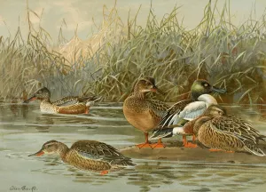 Shoveller by Allan Brooks Oil Painting