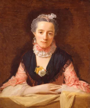 Lady In A Pink Silk Dress Oil painting by Allan Ramsay