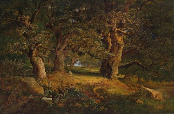 Waldlandschaft by Alois Kirnig - Hand-Painted Oil Painting Reproduction