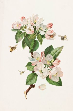 Apple Blossoms and Bees by Alois Lunzer Oil Painting
