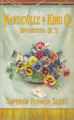 Mandeville and King Co., superior flower seeds (bowl of pansies) by Alois Lunzer Oil Painting