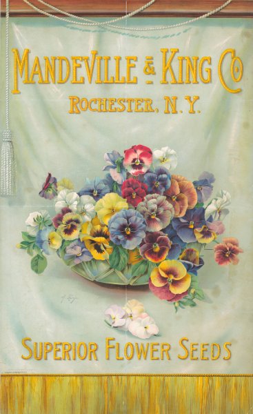 Mandeville and King Co., superior flower seeds (bowl of pansies)  by Alois Lunzer - Hand-Painted Oil Painting Reproduction