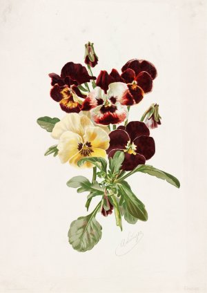 Pansies by Alois Lunzer Oil Painting