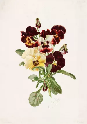 Pansies by Alois Lunzer Oil Painting