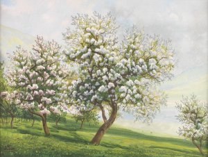 Bluhende Obstbaume Oil painting by Alois Tott