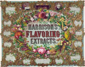 Harrison's flavoring extracts. Phila. Oil painting by Alphonse Bigot