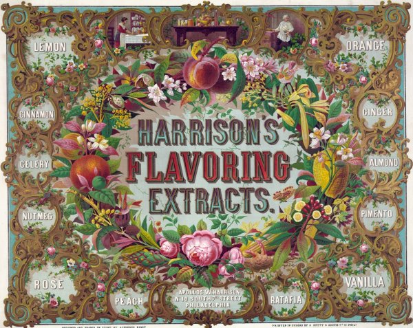 Harrison's flavoring extracts. Phila.  by Alphonse Bigot - Hand-Painted Oil Painting Reproduction