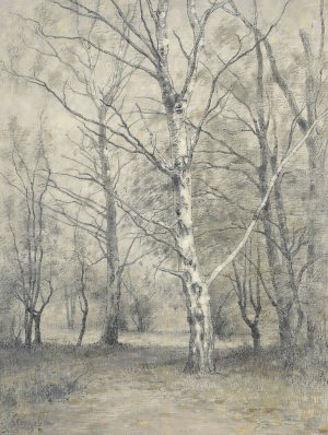 Bos met berkebomen by Alphonse Stengelin Oil Painting