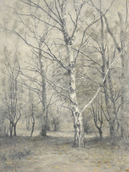 Bos met berkebomen  by Alphonse Stengelin - Hand-Painted Oil Painting Reproduction
