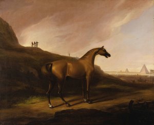 Napoleon's Horse by Alvan Fisher Oil Painting
