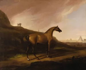 Napoleon's Horse by Alvan Fisher Oil Painting