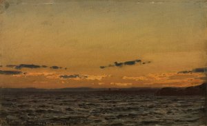 For storm, Hvaler by Amaldus Nielsen Oil Painting