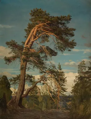 Gammel furu, overst i Setesdal Oil painting by Amaldus Nielsen