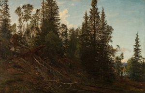 Vingerasheia, Telemark by Amaldus Nielsen Oil Painting