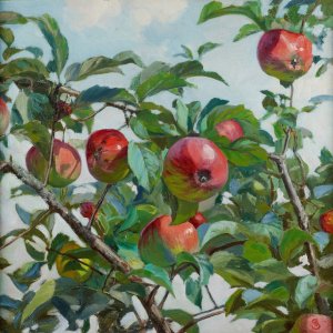 Apples by Ambrozy Sabatowski Oil Painting