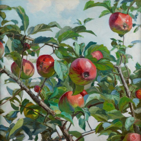 Apples  by Ambrozy Sabatowski - Hand-Painted Oil Painting Reproduction