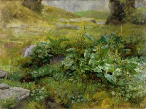 Landscape Study by Anders Askevold Oil Painting