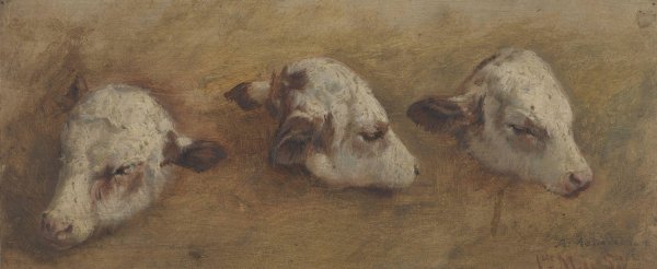 Study of Calfheads  by Anders Askevold - Hand-Painted Oil Painting Reproduction