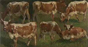 Study of Cows by Anders Askevold Oil Painting