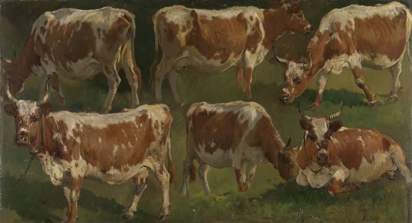 Study of Cows  by Anders Askevold - Hand-Painted Oil Painting Reproduction