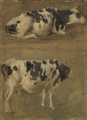 Study of Two Cows by Anders Askevold Oil Painting