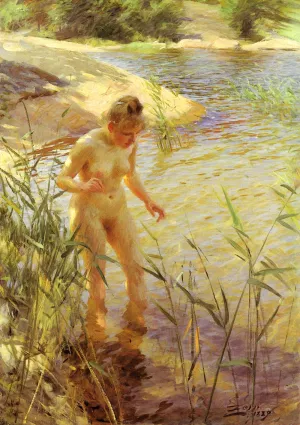 Reflexer painting by Anders Zorn