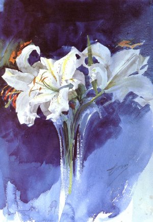 Vita Liljor by Anders Zorn Oil Painting