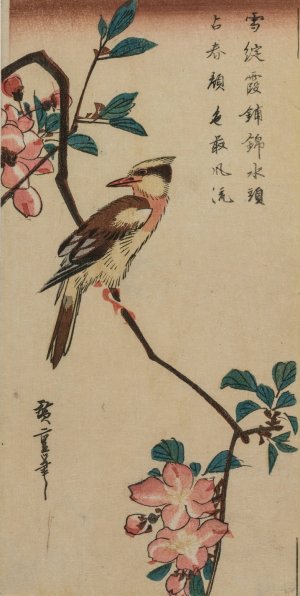 Black-Naped Oriole by Ando Hiroshige Oil Painting