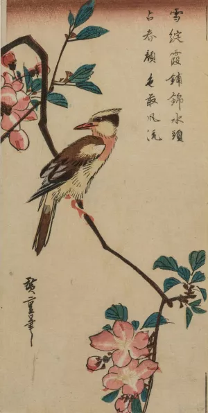 Black-Naped Oriole by Ando Hiroshige Oil Painting
