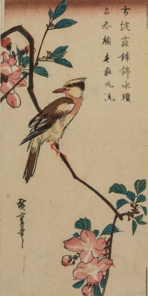 Black-Naped Oriole  by Ando Hiroshige - Hand-Painted Oil Painting Reproduction