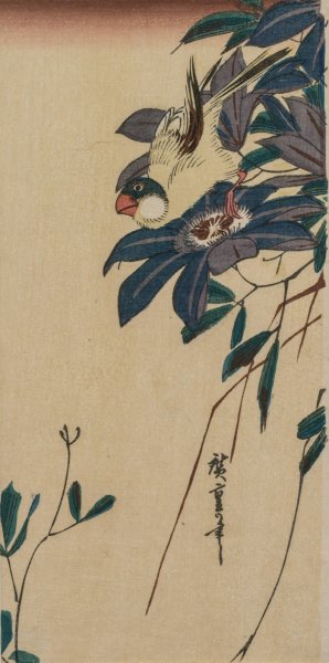 Grosbeak and Clematis by Ando Hiroshige Oil Painting