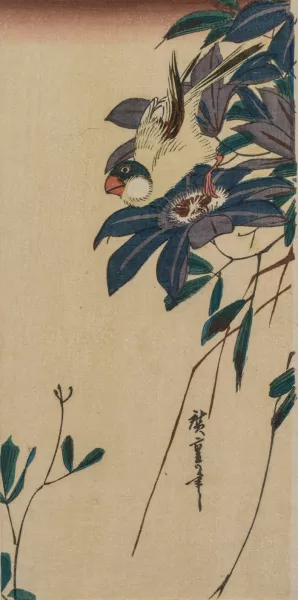 Grosbeak and Clematis by Ando Hiroshige Oil Painting