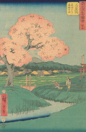Ishiyakushi by Ando Hiroshige Oil Painting