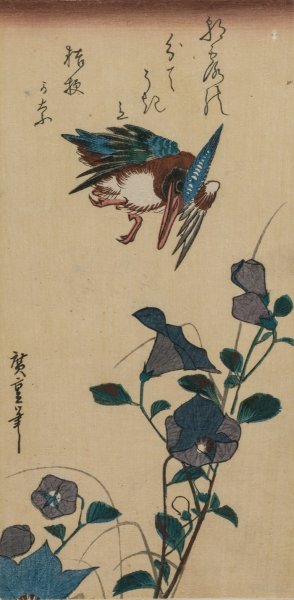 Kingfisher and Chinese Bellflowers  by Ando Hiroshige - Hand-Painted Oil Painting Reproduction