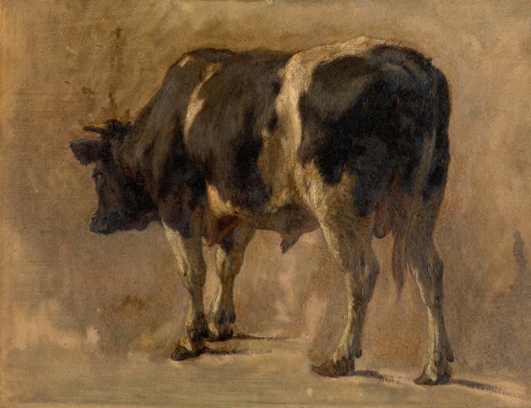 Bull by Andre Plumot - Hand-Painted Oil Painting Reproduction