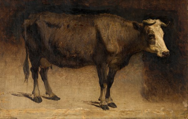 Cow by Andre Plumot - Hand-Painted Oil Painting Reproduction