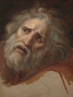 Head of Laocoon by Andrea Appiani Oil Painting