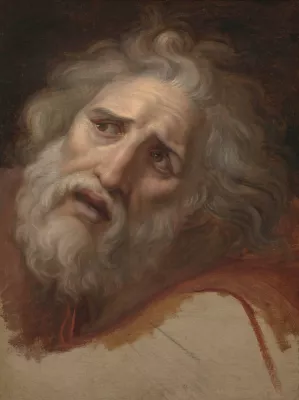 Head of Laocoon by Andrea Appiani Oil Painting