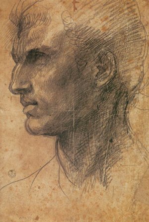 Head of a Man in Profile Facing Left