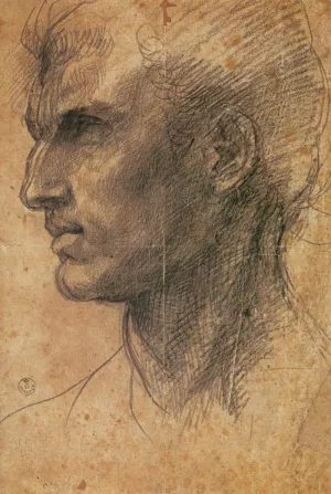 Head of a Man in Profile Facing Left by Andrea Del Sarto Oil Painting