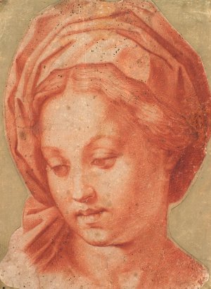 Madonna Borghese by Andrea Del Sarto Oil Painting