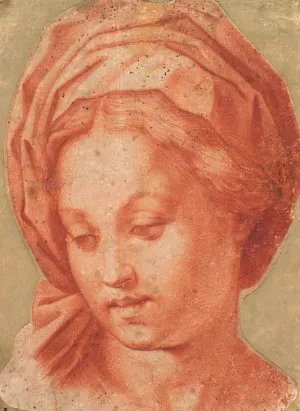 Madonna Borghese Oil painting by Andrea Del Sarto