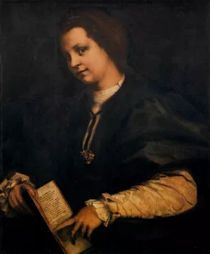 Portrait of a Lady with a Book Oil painting by Andrea Del Sarto
