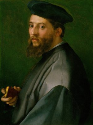 Portrait of a Man by Andrea Del Sarto Oil Painting