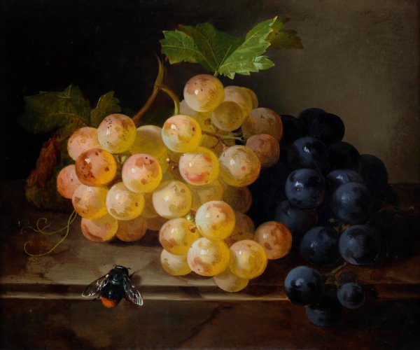 Traubenstillleben Mit Hummel by Andreas Lach - Hand-Painted Oil Painting Reproduction