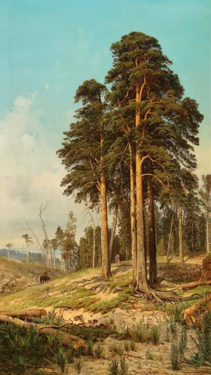 A Summer Day near Saint Petersburg by Andrei Nikolaevich Shilder Oil Painting