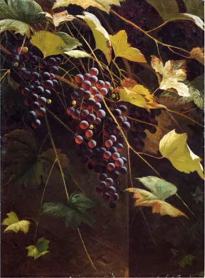 Wild Grapes by Andrew J. H. Way - Oil Painting Reproduction