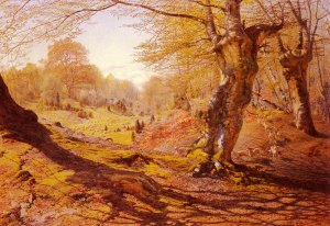 Seasons In The Wood - Spring, The Outskirts Of Burham Wood