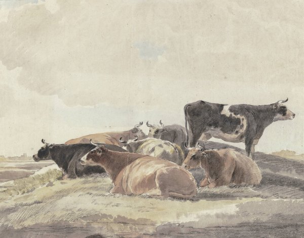 Auf einem Hugel sechs liegende und eine stehende Kuh by Andries Vermeulen - Hand-Painted Oil Painting Reproduction